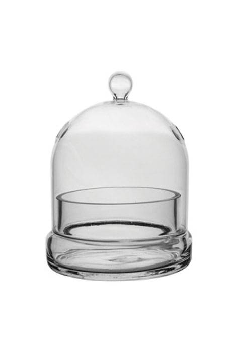 6" Terrarium Glass Cloche Crystal
