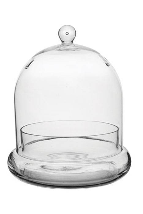 8.5" Terrarium Cloche Crystal