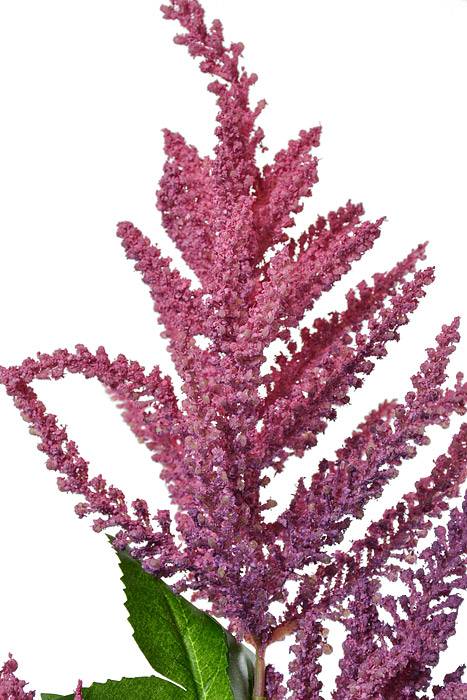 33" Plastic Astilbe Spray Orchid