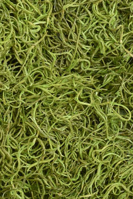 Spanish Moss Green