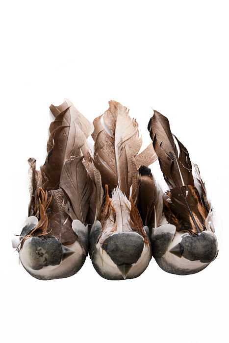 5.5" Bird With Clip Gray/Brown Set/3