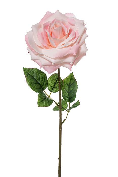 20" Open Rose Spray Light Pink