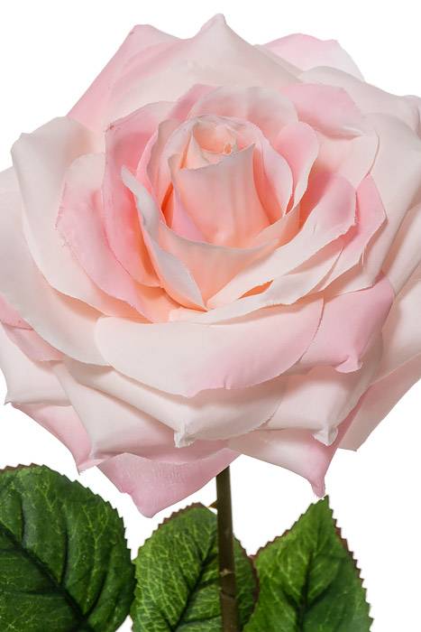20" Open Rose Spray Light Pink