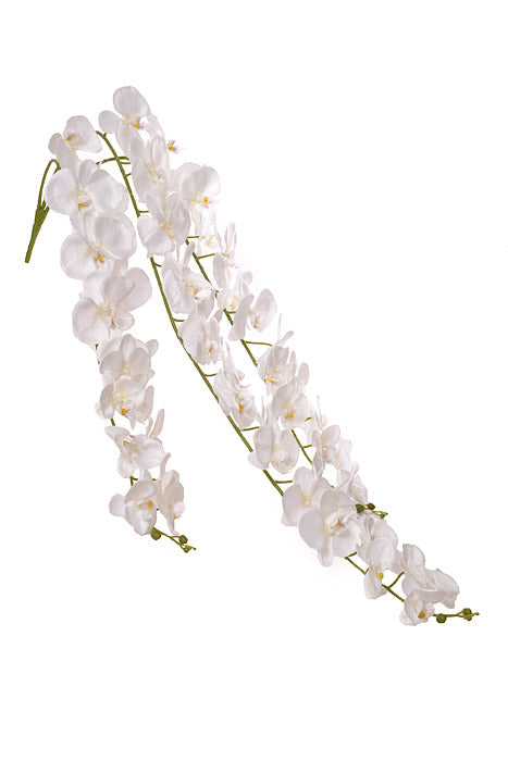 55" Silk Phalaenopsis Spray White