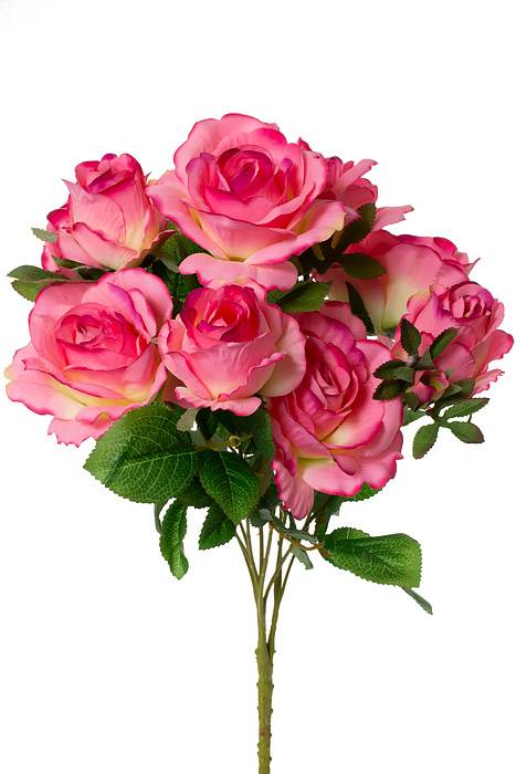 19" Rose/rose Bud Bush X10 American Beauty