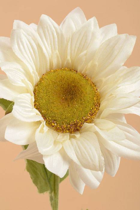 24" Silk Sunflower Spray Cream