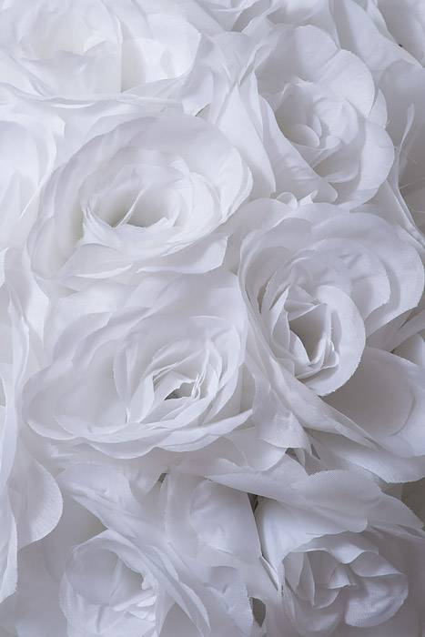 14" Rose Ball W/hang Ribbon White