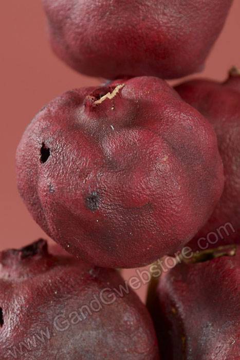 Pomegranate/stem Enhanced Red Pkg/6