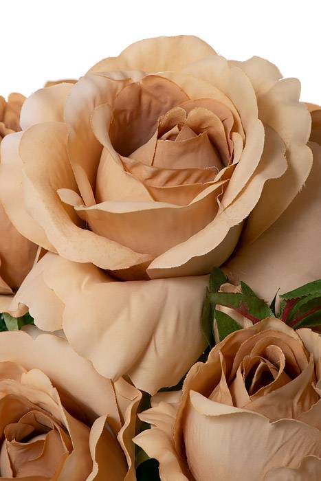 19" Silk Rose Bud Bush Coffee