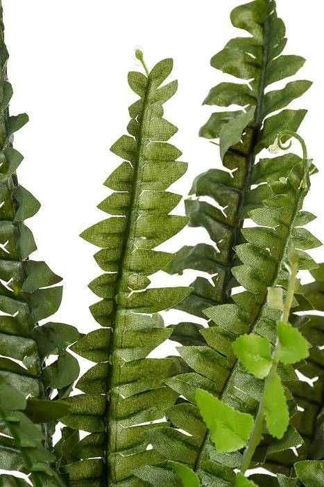 28" Boston Fern Green