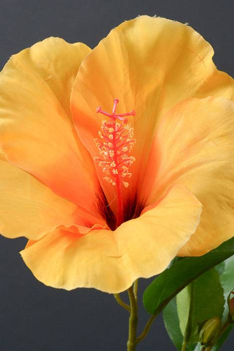26" Silk Hibiscus Spray Yellow/orange