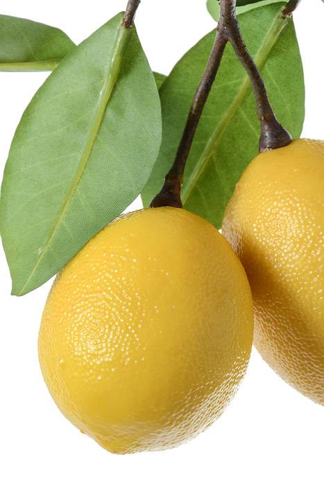 8.5" Lemon Pick Yellow