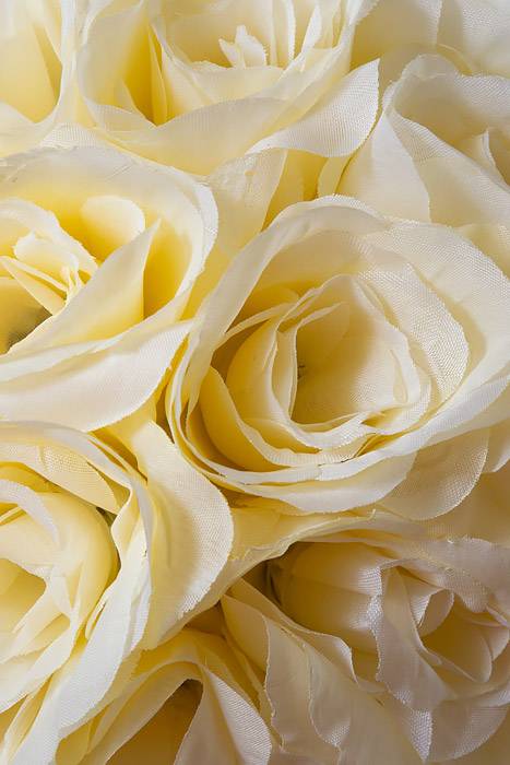 10" Rose Ball W/ribbon Ivory