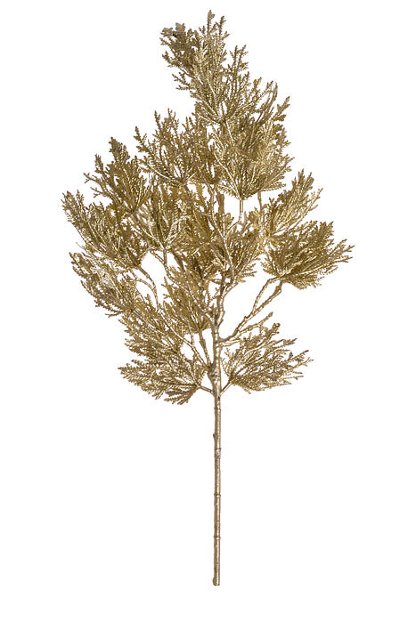 19.5" Cedar Spray Gold