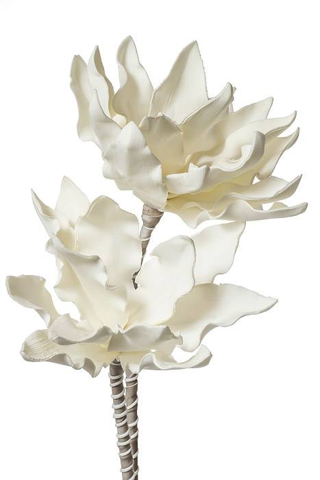 41" Foam Double Star Succulent White