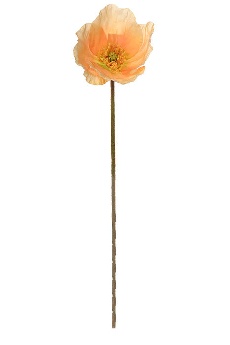 23" Silk Poppy Spray Peach/Cream Pkg/6