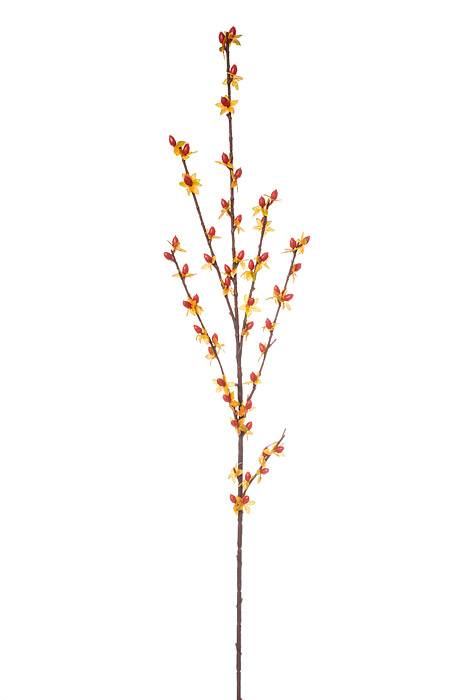 25" Bittersweet Yellow/red