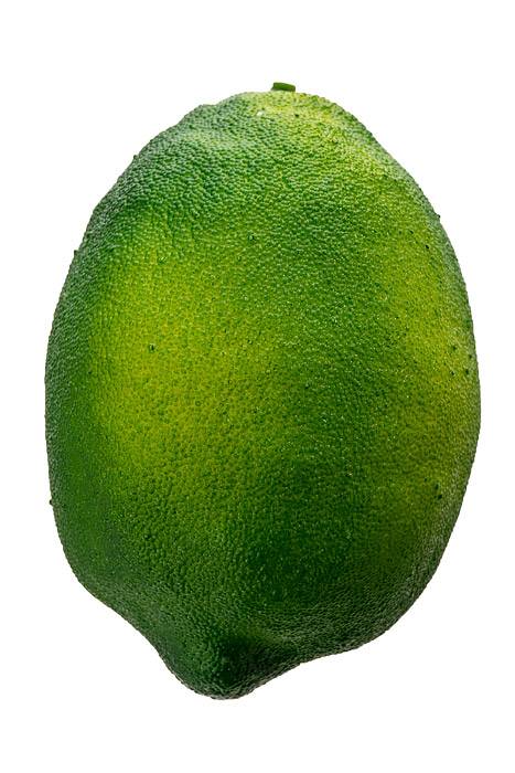 4" Artificial Lemon Pkg12 Green
