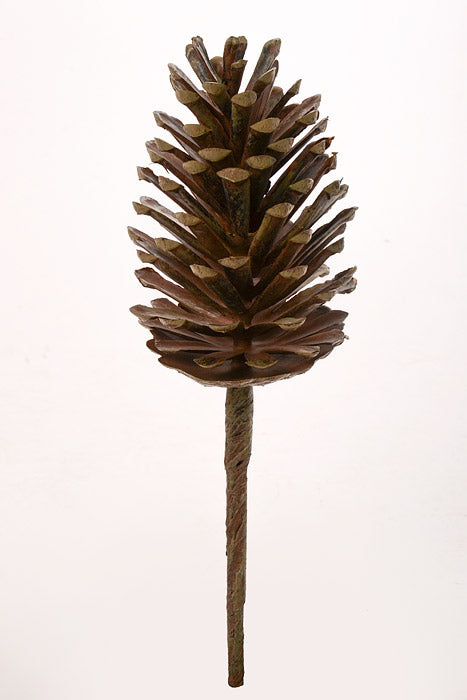 13" Pine Cone Pick Natural