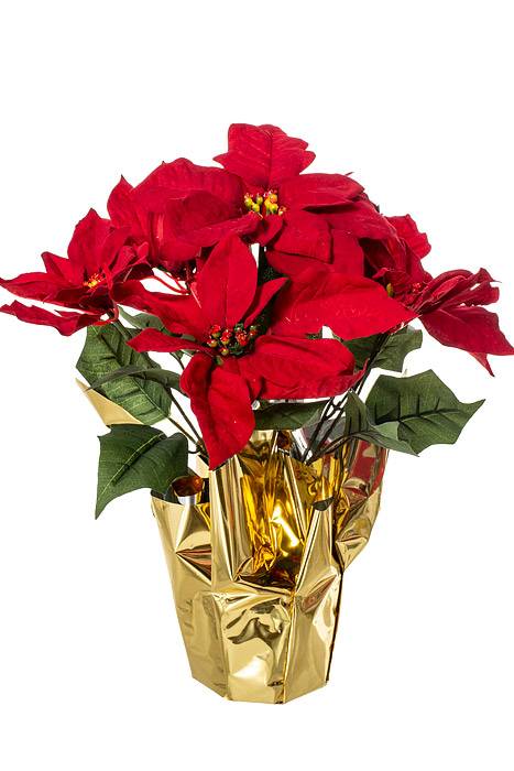 15" Poinsettia Bush Pot Rd/grn