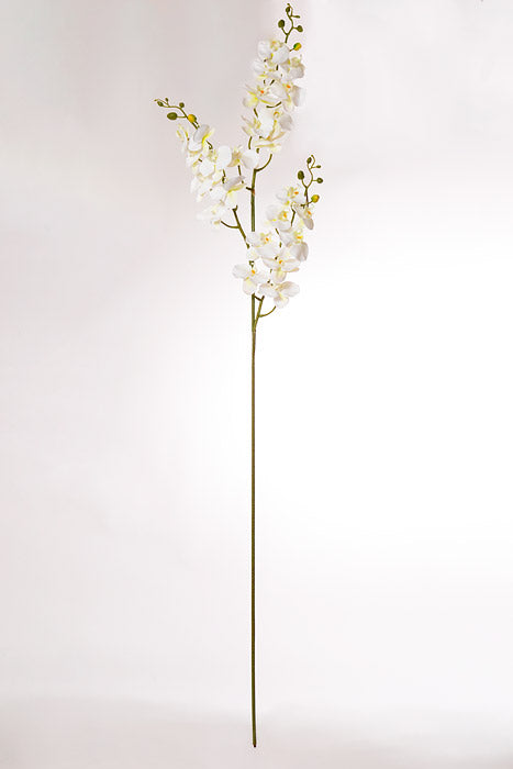 66" Silk Phalaenopsis White