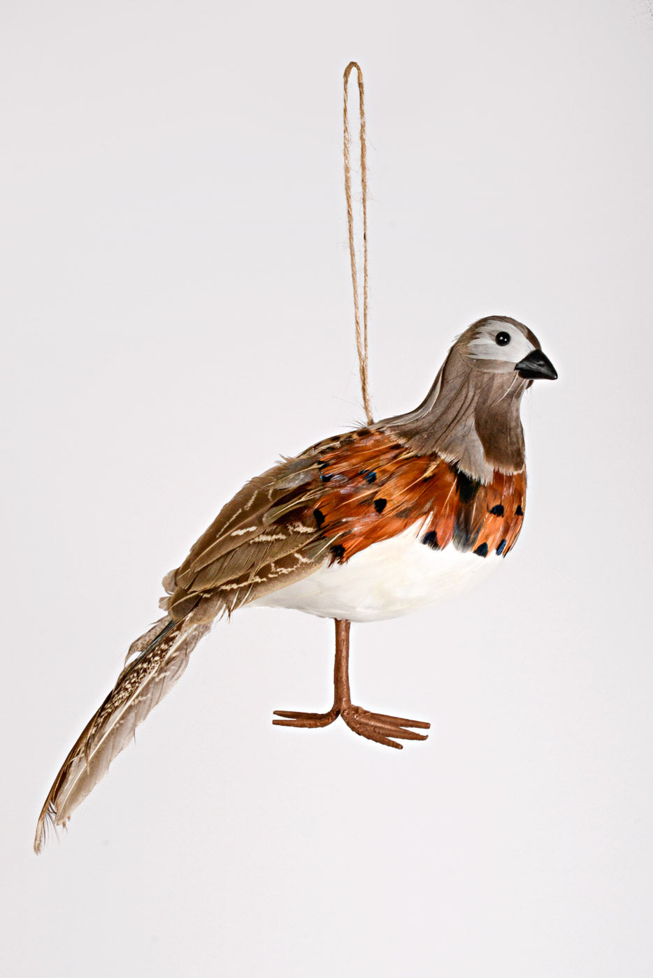 11.5" Feather Highlands Quail Ornament Natural Brown