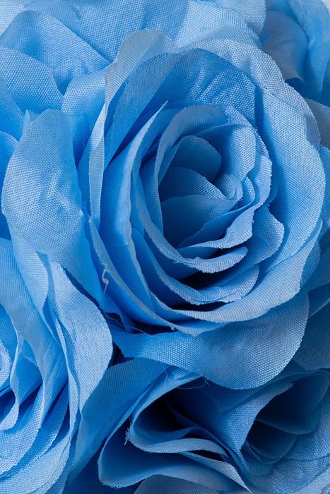 6" Rose Ball W/ribbon Light Blue