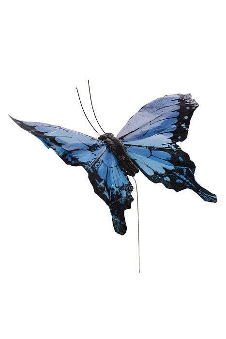 5" Morpho Butterfly Blue Pkg/12