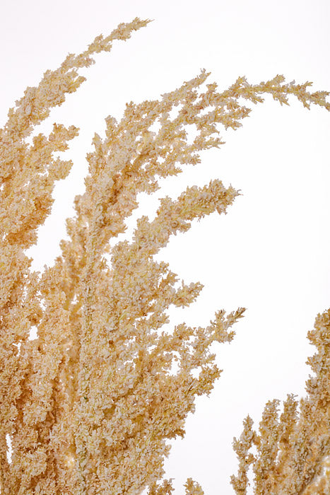 28" Pampas Bundle Beige