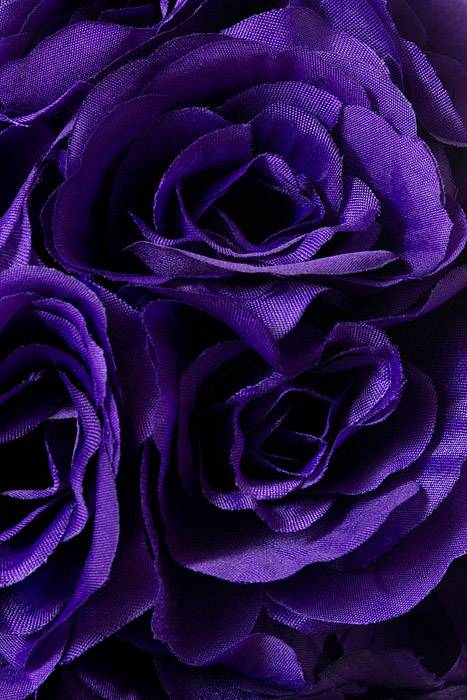 10" Rose Ball W/ribbon Purple