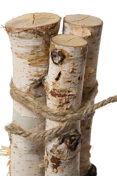15.75" Birch Bundle Natural Pkg/3