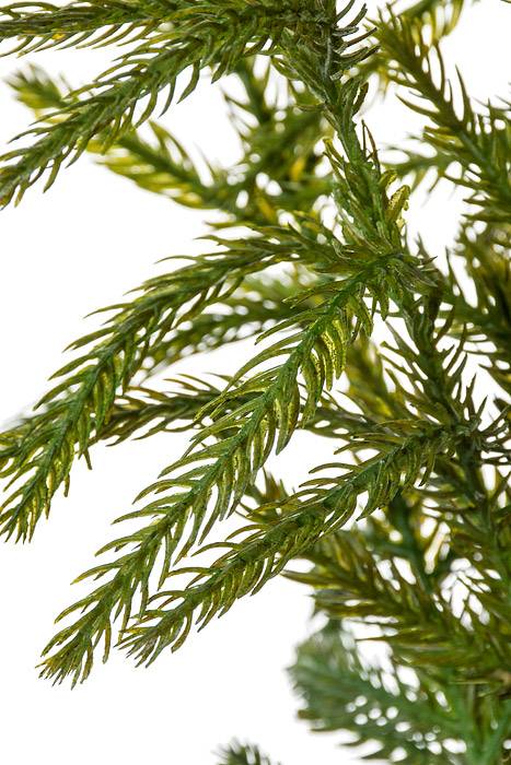 38" Natural Touch Norfolk Pine Spray (Green)