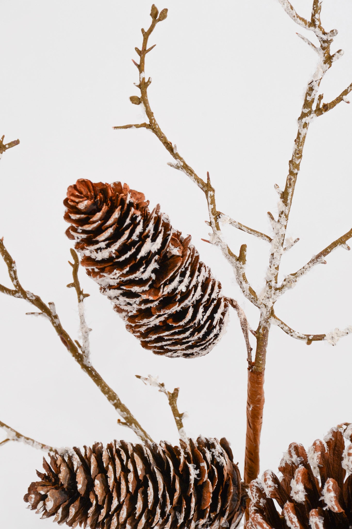 18" Snowed Pine Cone Spray Brown