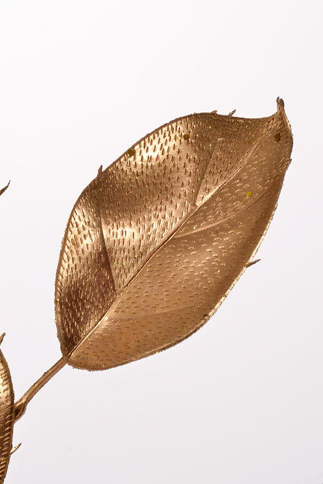 23" Glitter Ficus Leaf Spray Gold Pkg/6