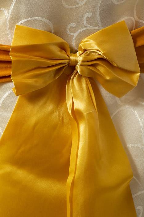 8" X 24" Chair Bow Gold Pkg/10
