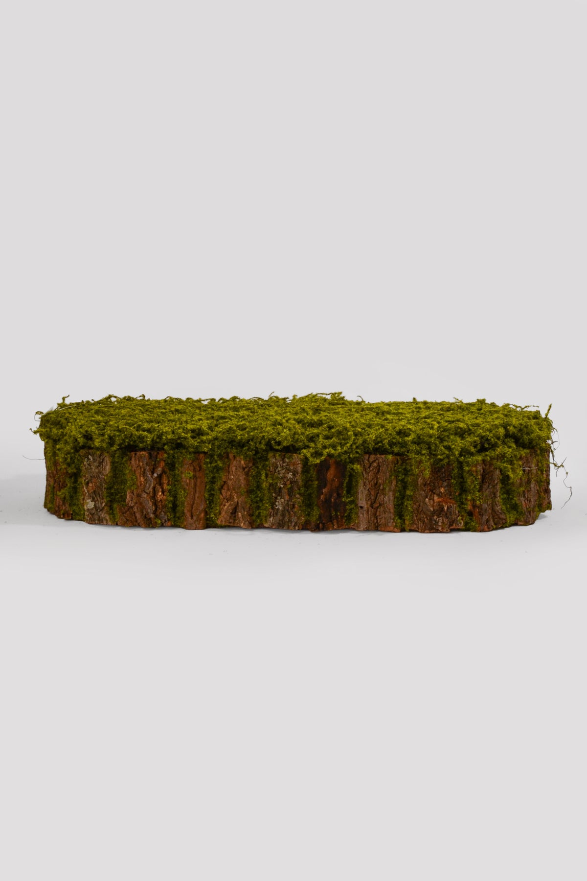 27.5" X 11" X 5.5" Bark Rack W/Moss Green