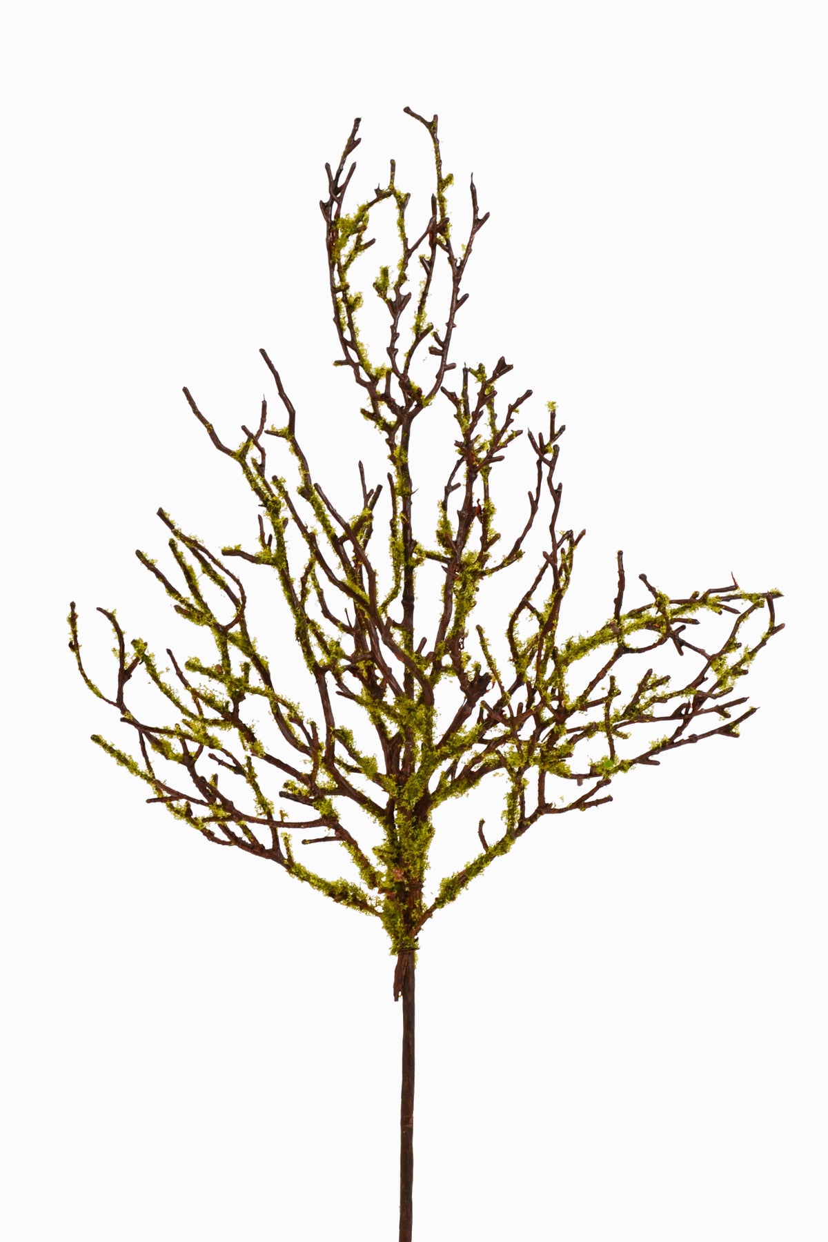 18" Twig Branch W/Moss Green