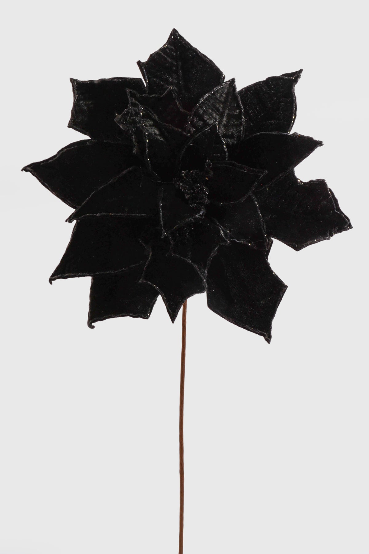 25" X 14" Poinsettia Stem Black