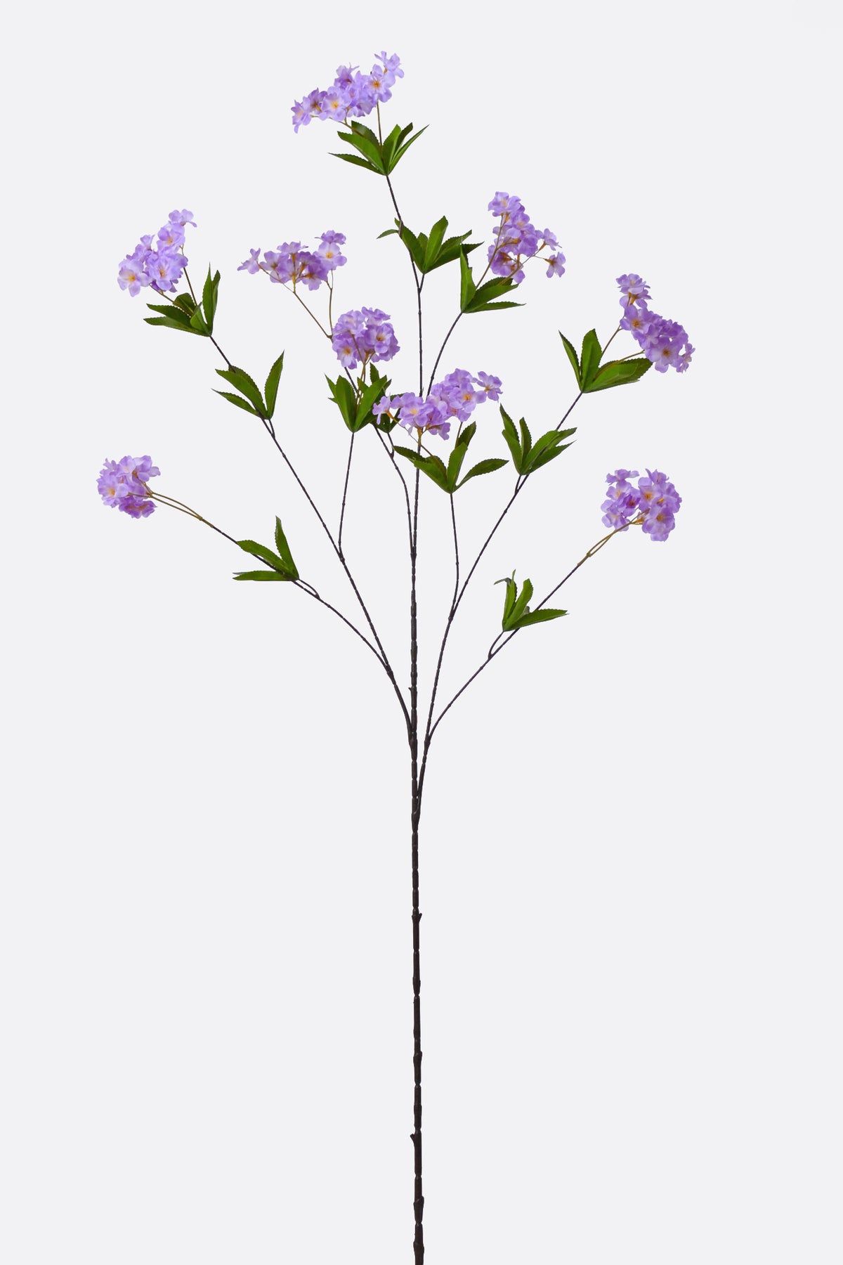 51" Silk Cherry Blossom Spray Purple