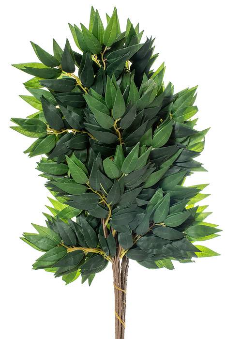 27" Smylax Spray Pkg/12