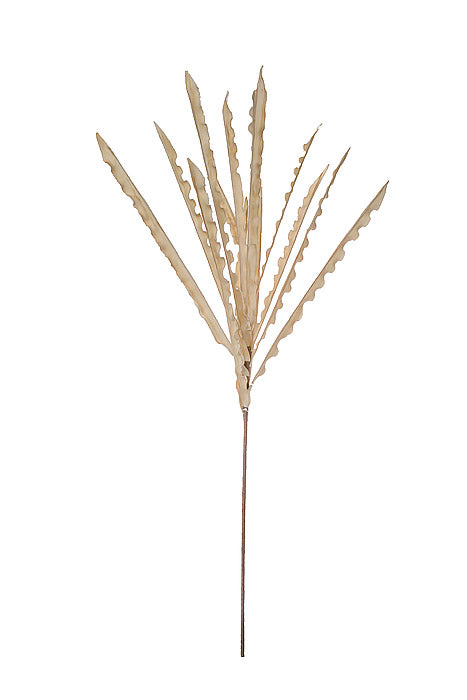 51" Foam Snap Bean Spray Cream