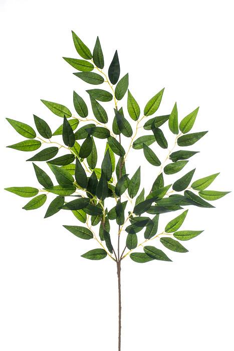 27" Smylax Spray Pkg/12