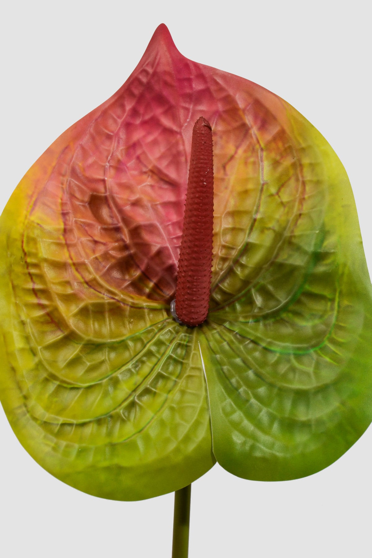 31.5" Artificial Anthurium Spray Green/Red