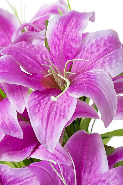 19" Silk Tiger Lily Bush X11 Lavender