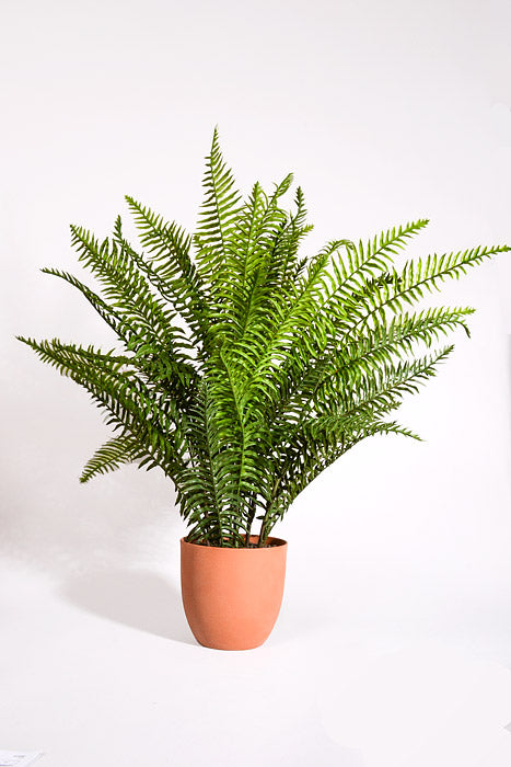 33" Real Touch Ruffle Fern In Pot Green