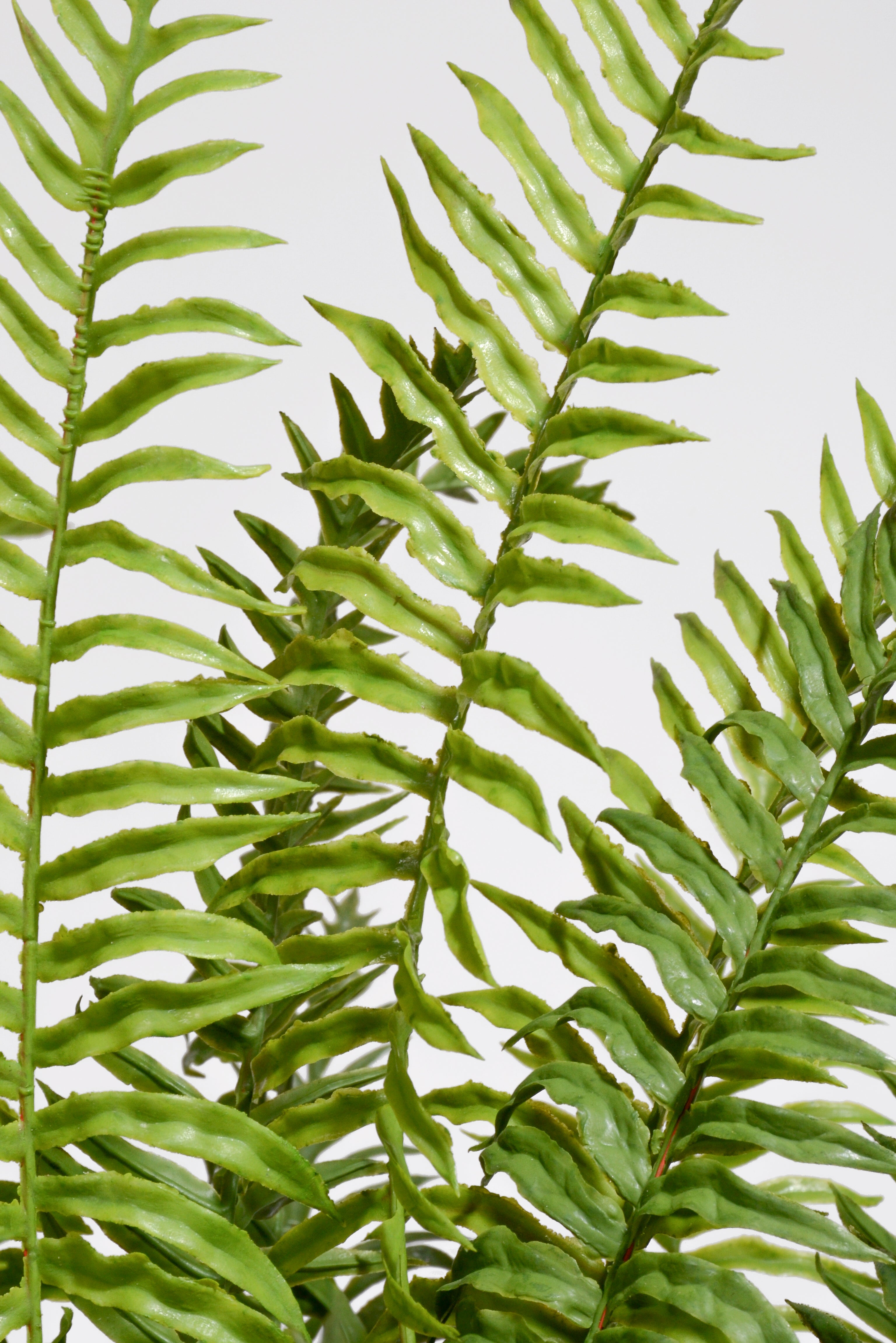 33" Real Touch Ruffle Fern In Pot Green