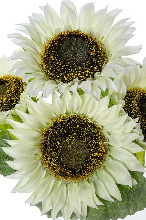 11" Silk Sunflower Bush Cream x 4