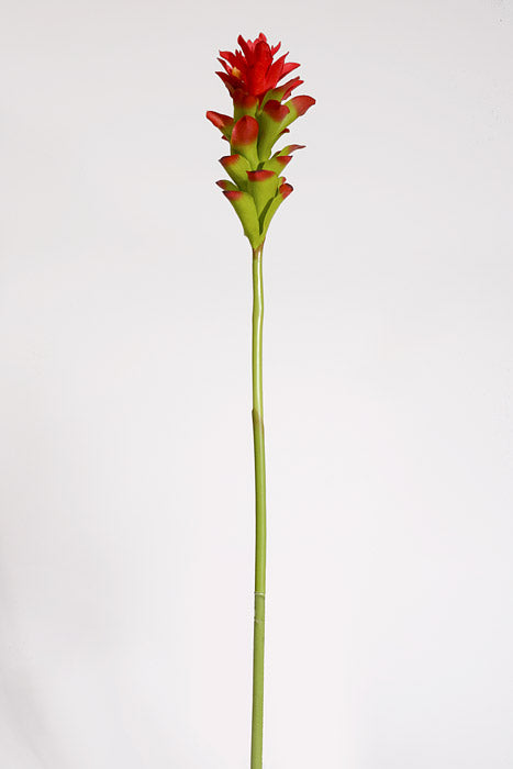 29.5" Artificial Ginger Stem Red