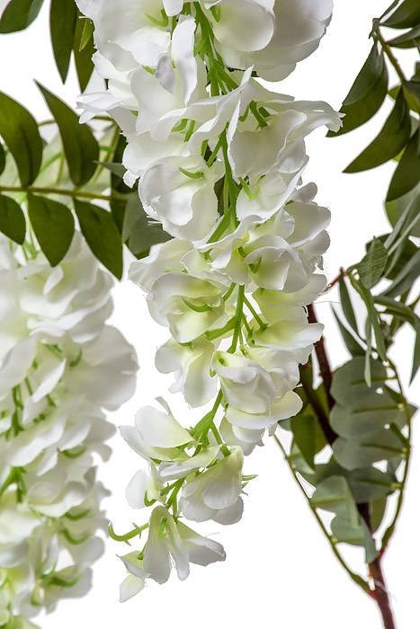 41" Silk Wisteria Spray White
