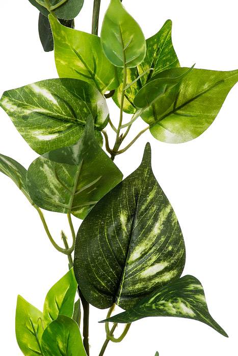 6ft Potho Garland Green